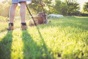 Lawn Edger Services in Welcome Bay And Maungatapu